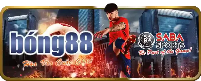 Uy tín và An toàn Đảm bảo